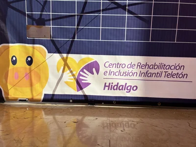 Banner for Teletón Hidalgo rehab and inclusion; yellow pig face left, purple hands logo, blue grid.